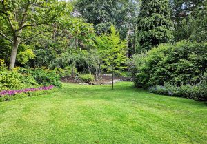 Optimiser l'expérience du jardin à Fresnicourt-le-Dolmen